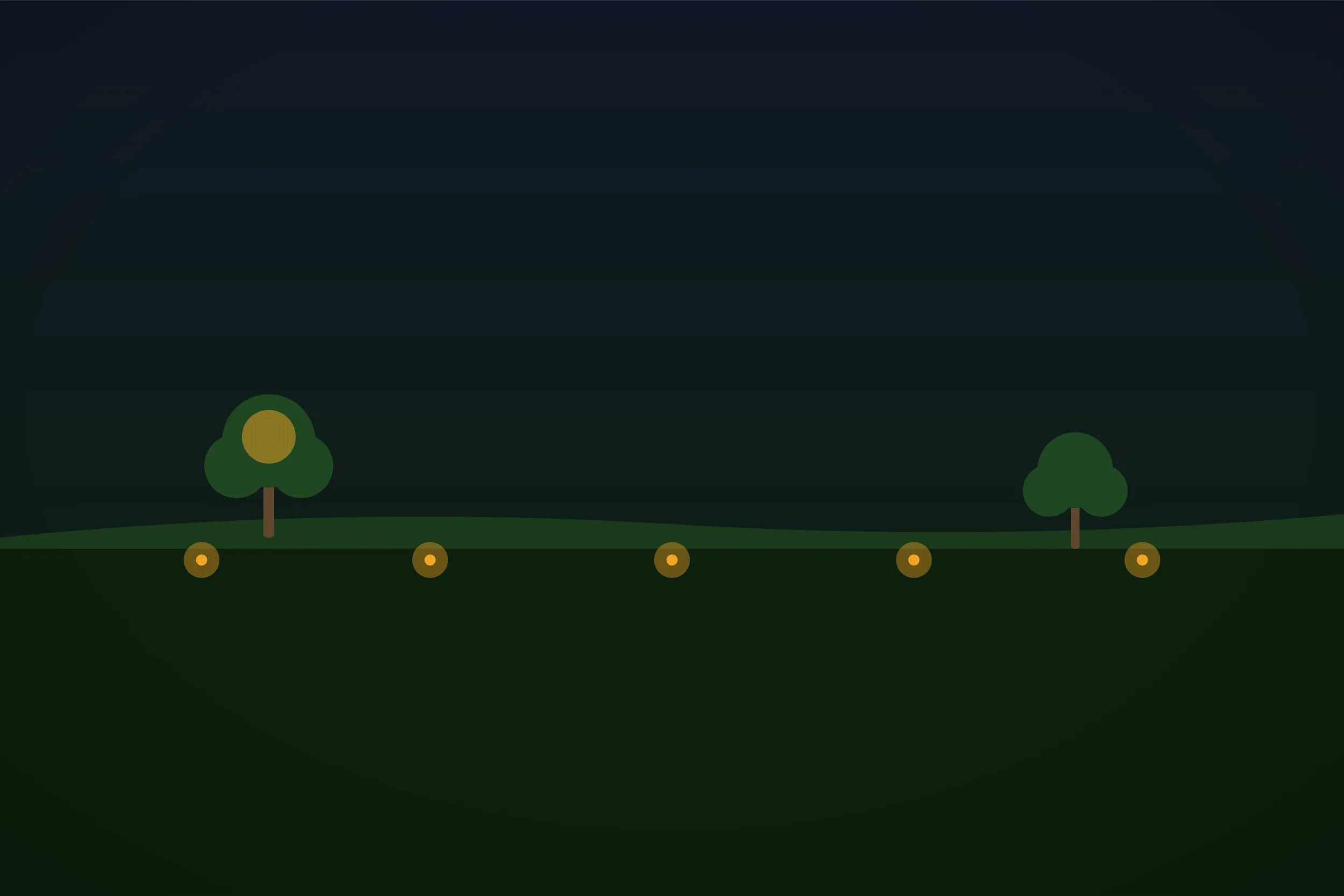 Landscape Lighting