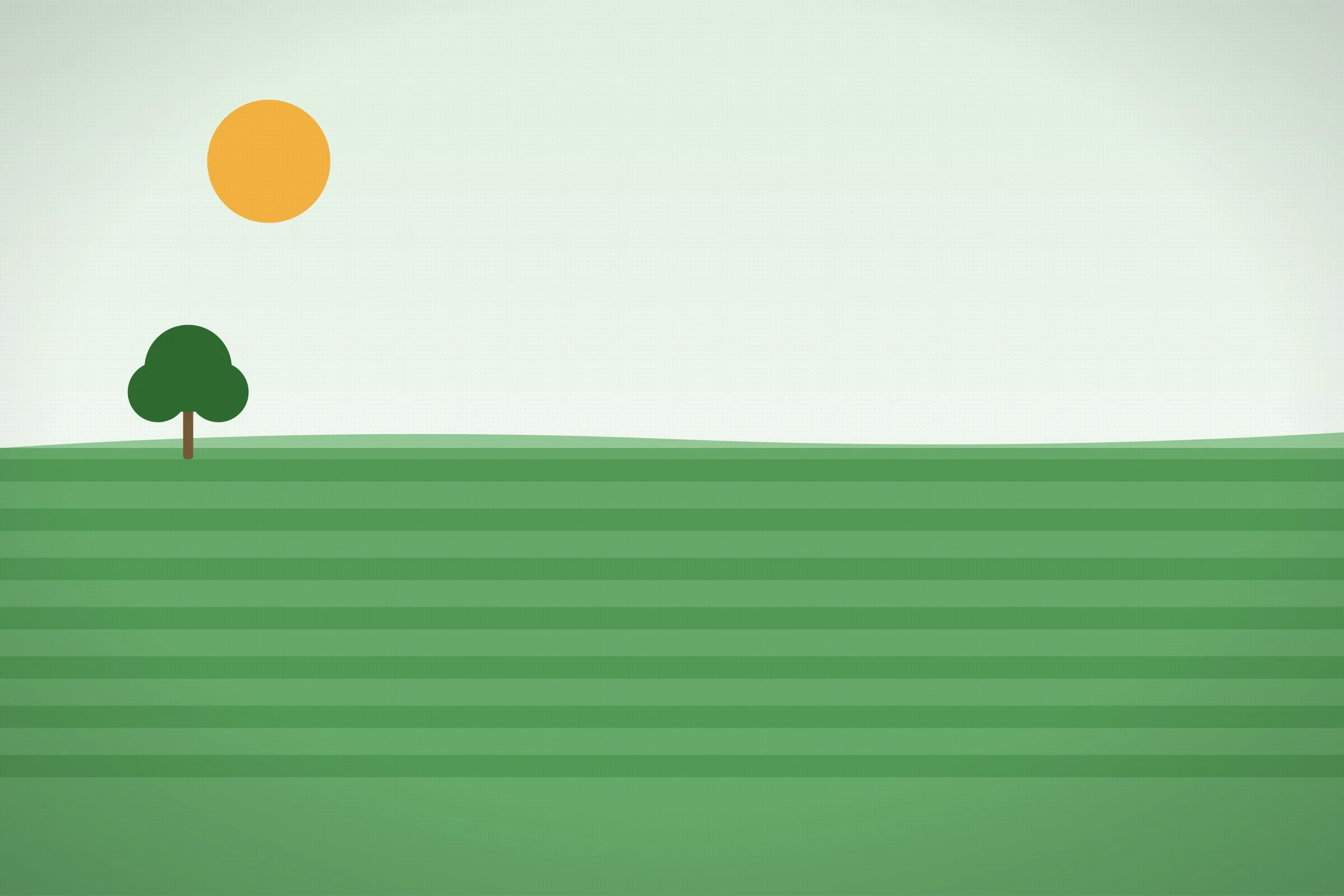 Lawn Installation